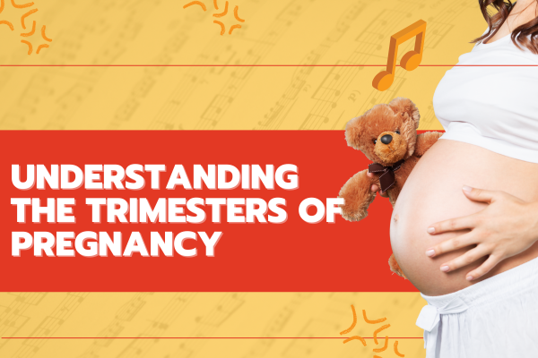 Understanding the Trimesters of Pregnancy